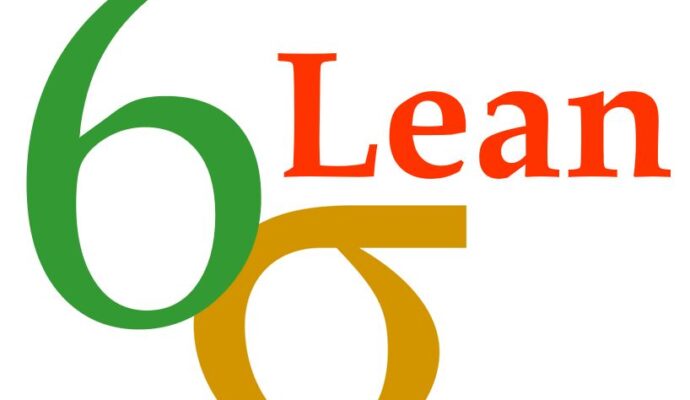 LSS New Jersey-What Is Lean Six Sigma